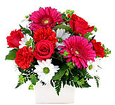 A spring inspired arrangement of bright, colourful blooms including pink roses, hot pink Gerbera daisies, white daisies, red carnations and flowering greenery.
