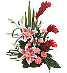 Stargazer lilies combine with Ginger and broad leafed exotic greens to form an exciting tropical gift. Shop online with Canada Flowers at canadaflowers.ca