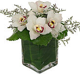 Rare and precious cymbidium orchids are arranged in a modern glass cube vase. Flowers by Canada's National Florist.