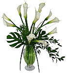 One dozen rare and beautiful white Calla lilies are arranged in a glass vase with exotic greenery. Flowers deliverd across Canada with Canada Flowers.