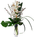 Exotic cymbidium orchids take flight in this premium flower arrangement by Canada Flowers.