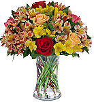 Gorgeous vase arrangement of one half dozen assorted colour roses with several stems of alstroemeria. A full, panoramic display.