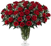 Premium arrangement of Three Dozen red roses with baby's breath and greenery in a stylish glass vase.