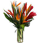 Ginger, Birds of Paradise and tropical broad leaf greens, arranged in a cylinder glass vase by Canada Flowers.