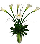 Simple yet artistic arrangement of six white calla lilies by Canada Flowers, Canada's National Florist.