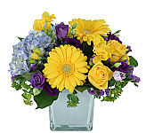 Give April Morning... our cube vase of yellow, blue and purple flowers for anytime gift giving. Same day flower delivery across Canada.