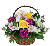 Popular Spring floral basket, arranged with mauve daisies, yellow spider mums, white alstroemeria and delicate pink waxflower. Flowers delivered same day across Canada.