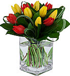 A gorgeous bouquet of one dozen yellow and red tulips arranged in a modern rectangular glass vase with lush greens.