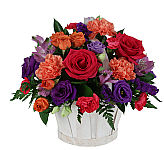 Exciting and colourful rounded basket of flowers for any occasion. Featuring bright orange lilies, alstroemerias, miniature carnations, spider mums and more. Canada delivery.