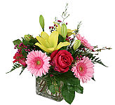 A pretty floral arrangement of yellow lilies with pink roses and soft pink Gerbera daisies in a clear glass cube vase. Same day delivery across Canada.