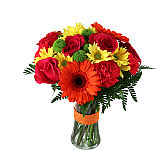 Give the gift of fresh, bold colour! Sunburst is a dramatic variety of rich floral colours for birthday gift giving.