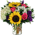 Sunflowers, hydrangea, roses, and alstroemeria arranged in a vase.