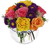 Glass bowl of assorted roses intermixed with pretty purple asters. Same day flower delivery across Canada with CanadaFlowers.CA.
