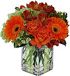 Express your thanks and gratitude with an original floral design from Canada Flowers.