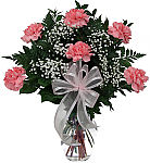 Budget friendly gift of six pink carnations with baby's breath, arranged in glass vase. A nice way to say thankyou. Same day flower delivery across Canada.