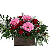 Leave them Breathless this February 14th with our original design. A surefire way to take their breath away!