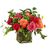 Send The FTD® Lush Life Rose Bouquet across Canada today. Six red roses are arranged in a modern cube vase.