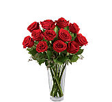 One dozen premium long stemmed red roses are arranged in an elegant glass vase with limonium and greenery. Available same day across Canada with Canada Flowers.