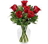 Six premium long stemmed red roses are arranged in a clear glass vase with lush greens.