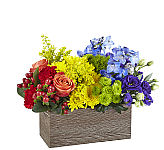 This bouquet is all about capturing the colour of your unique love. With a rainbow colour palette, this arrangement has everything from bold reds to vibrant violets, and the all gorgeous hues in between! Our Color of Love Bouquet is made up of a wide array of blooming beauties like carnations, roses, button pompons and more.