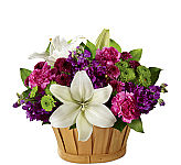 The FTD® Fresh Focus Bouquet is a sweet surprise of pink and white flowers arranged in a cute cube vase, perfect for anytime. Trust Canada Flowers with your sweet surprises of flowers delivered across Canada. Secure, reliable, guaranteed. Try us today!