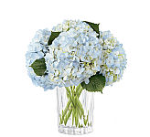 The FTD® Joyful Inspirations Bouquet uplifting blues for when you're feeling blue or simply for anytime!
