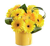 The FTD&reg; Sunny Surprise Bouquet is a sweet surprise of pink and white flowers arranged in a cute cube vase, perfect for anytime. Trust Canada Flowers with your sweet surprises of flowers delivered across Canada. Secure, reliable, guaranteed. Try us today!