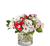 The FTD® Sweet Surprises Bouquet is a sweet surprise of pink and white flowers arranged in a cute cube vase, perfect for anytime. Trust Canada Flowers with your sweet surprises of flowers delivered across Canada. Secure, reliable, guaranteed. Try us today!