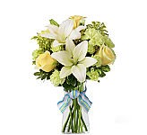 FTD's BoyOhBoy a wonderful way to send your warmest wishes for Birthday gift giving across Canada. Same day delivery with Canada's National Florist.