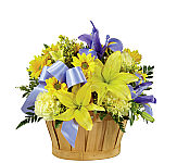 FTD's Blue Bouquet for Birthday gift giving across Canada. Same day delivery with Canada's National Florist.