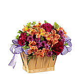 FTD's New Dream Basket a special surprise for your recipient. A wonderful way to say happy birthday, congratulations, or best wishes!
