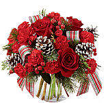 A festive bubble bowl floral arrangement in red, white and green to celebrate the Christmas holidays.