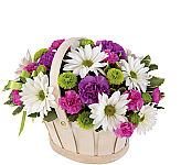 Give FTD's popular and affordable Blooming Bounty Bouquet with Canada Flowers, Canada's National Florist. Handled basket featuring purple, pink, white and green blooms. Same day delivery across Canada.