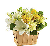 The FTD® Uplifting Moments Bouquet is a bright and uplifting addition to any home and makes a most welcome gift for sympathy sentiments. Trust Canada Flowers with your floral expressions of sympathy to the family. Let us help you today.