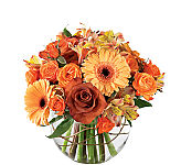 FTD® Nature's Elegance Bouquet