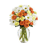 Send this sweet gift for your special recipient to wish them well on their road to recovery. · Delivered same day across Canada.