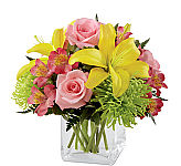 Encourage them today with a cheerful arrangement of yellow lilies, Fuji mums and pink roses. Same day delivery across Canada.