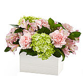FTD® Sweet Charm Bouquet