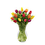 15 Mixed colour spring tulips arranged in a stylish glass cube vase for Mother's Day. Same day delivery across Canada with Canada Flowers.