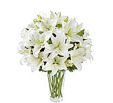 The beautiful FTD® Spirited Grace Lily Bouquet is perfect for the funeral home with graceful white lilies arranged in a vase to send your message of peace to the family. Trust Canada Flowers with your important expressions of support and sympathy. Secure, reliable, friendly... guaranteed.