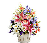 Whitewash basket of Stargazer Lilies, white daisies, orange or pink miniature carnations, purple statice and blue irises. A Wondrous Spring floral arrangement for Canadian delivery.