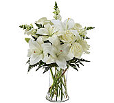 An exuberance of bright and beautiful white blossoms provides an exquisite way to deliver your expressions of sympathy and comfort.