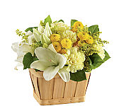 The FTD® Uplifting Moments Bouquet is a bright and uplifting addition to any home and makes a most welcome gift for sympathy sentiments. Trust Canada Flowers with your floral expressions of sympathy to the family. Let us help you today.
