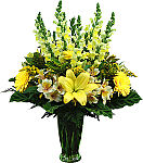 Yellow lilies, yellow gerberas, snapdragons and alstroemerias are arranged in an elegent vase for sympathy.