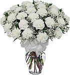 Vase arrangement of two dozen white carnations with baby's breath and greens. Suitable for the funeral service or visitation.