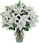 Clear glass vase of several all white Casablanca lilies with white waxflower and greenery.