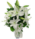 Budget Funeral Flowers · White