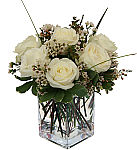 Contemporary display of six white roses with white waxflower and variegated pitt. Same day flower delivery across Canada.