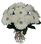Send an all white, economical funeral flower arrangement from Canada's National Florist, Canada Flowers.