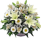 Sweet Sincerity is a Canada Flowers Original floral gift wellsuited for the funeral home or funeral service. White flowers are arranged in a handled basket